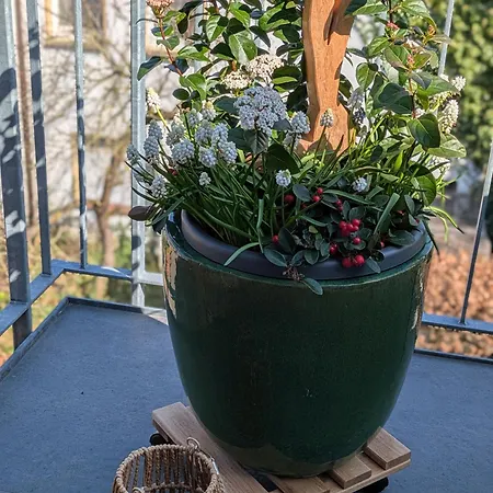 Apartmán Blue Meadow *