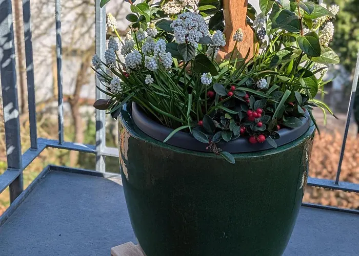 Appartement Blue Meadow *